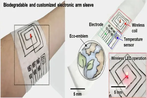 Công nghệ sợi phân hủy sinh học mới giúp xử lý rác thải điện tử
